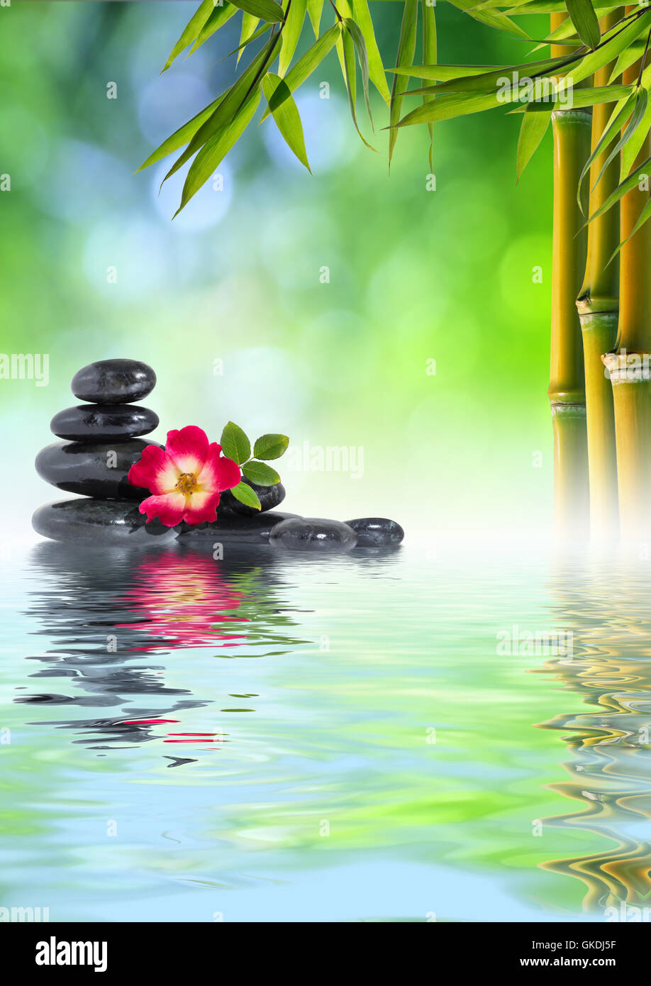 bamboo massage spa Stock Photo Alamy