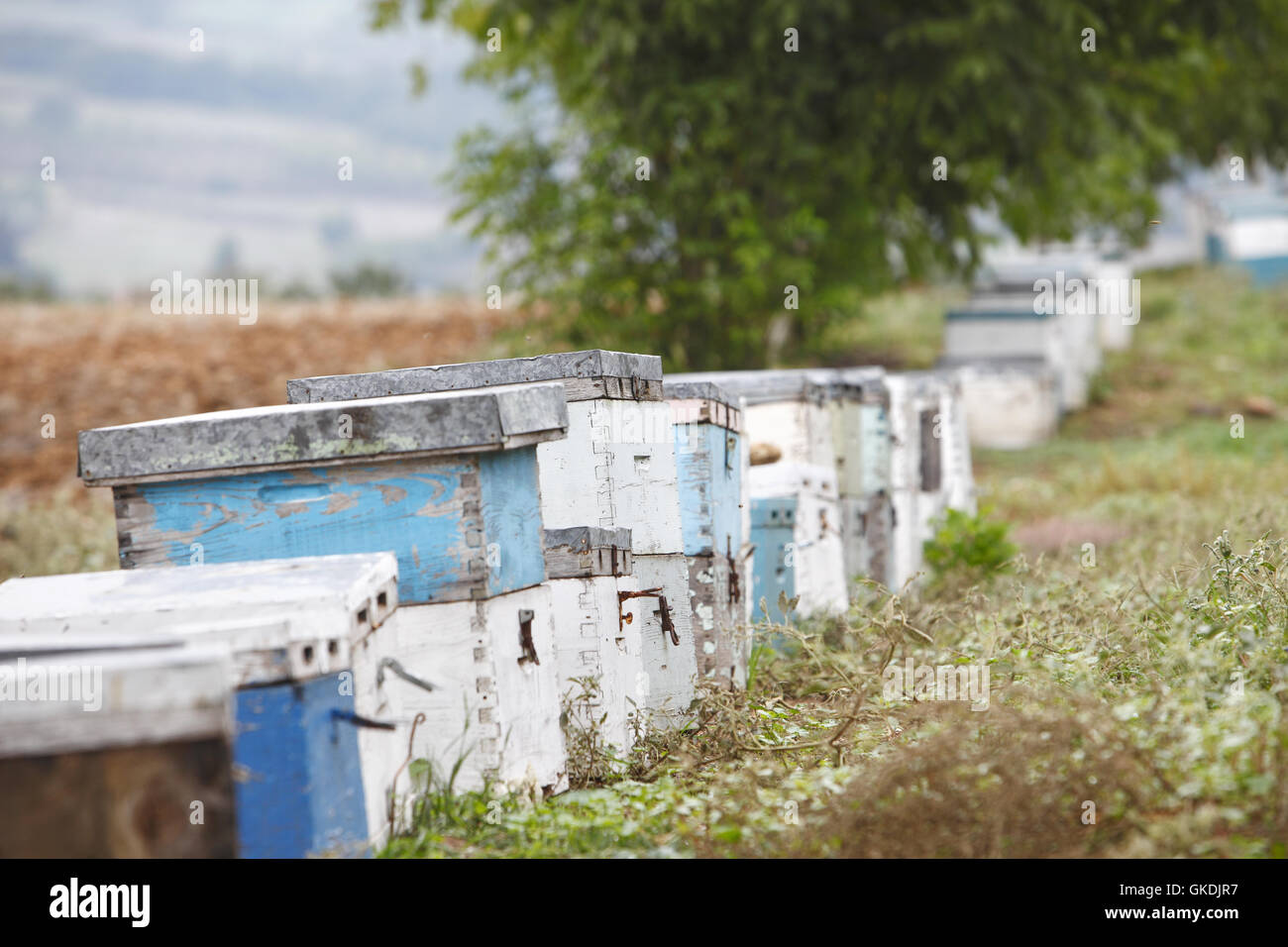 Beehives located near the town of Goumenissa, Greece Stock Photo
