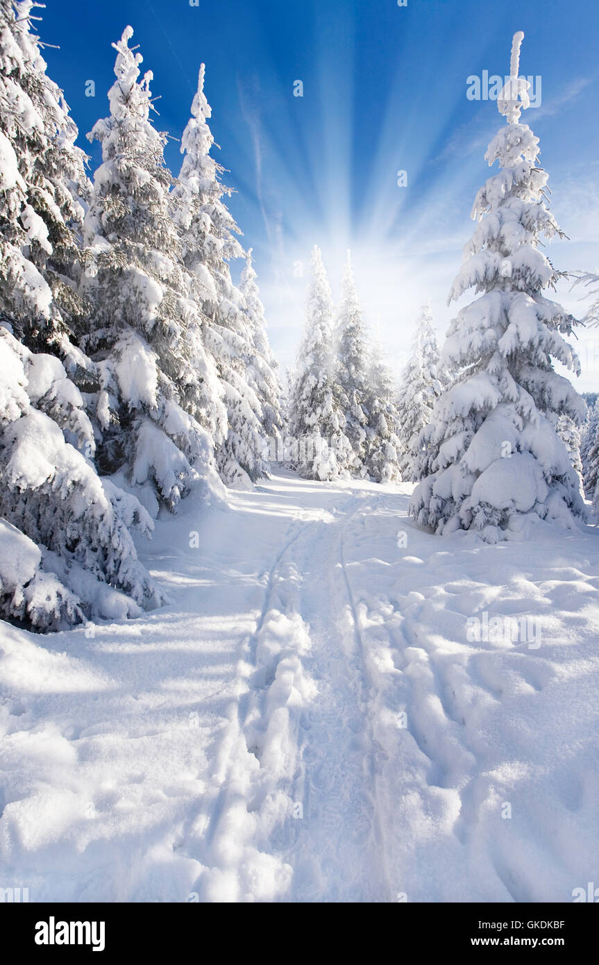 blue shine shines Stock Photo - Alamy