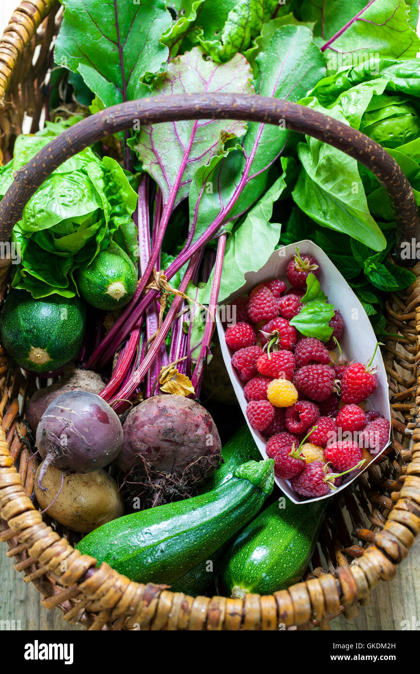 Basket with freshly picked garden produce Stock Photo Alamy