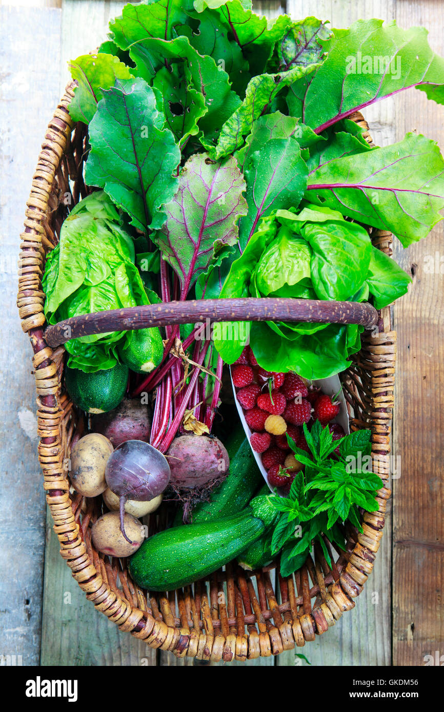 Basket with freshly picked garden produce Stock Photo - Alamy