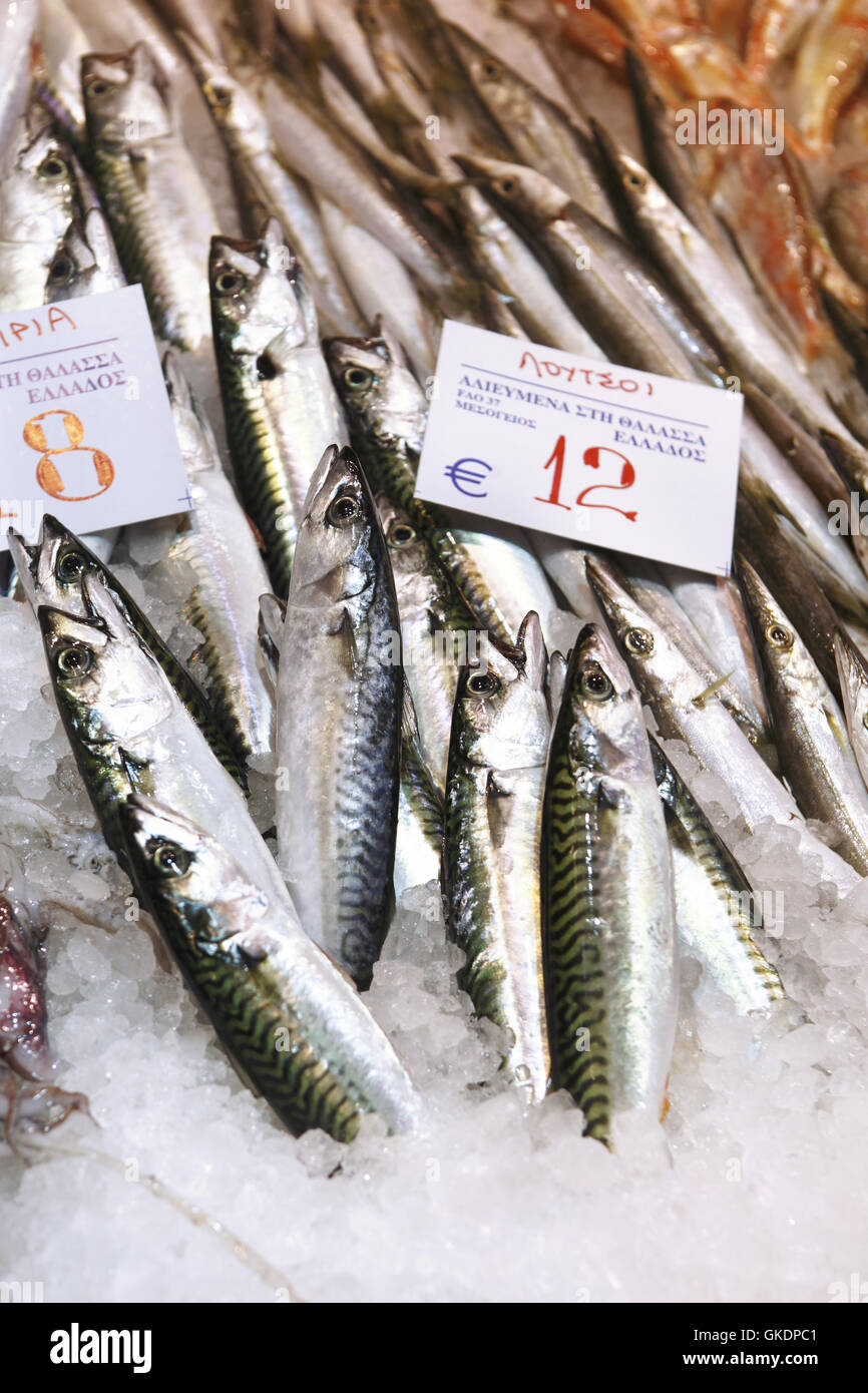 Fish for sale in Modiano Market, Thessaloniki. Greece Stock Photo