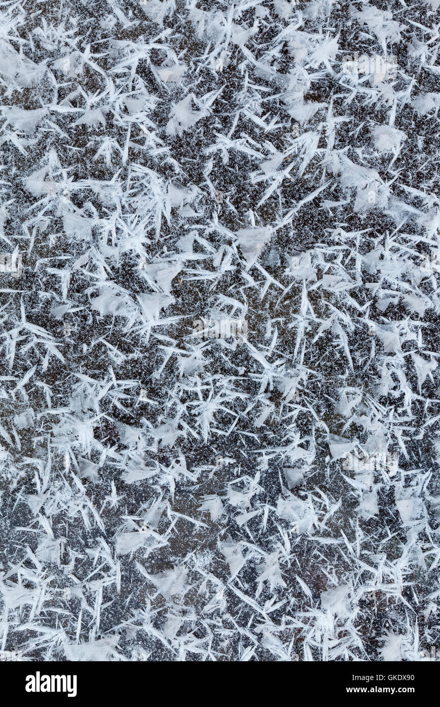 Icy snowflakes Stock Photo