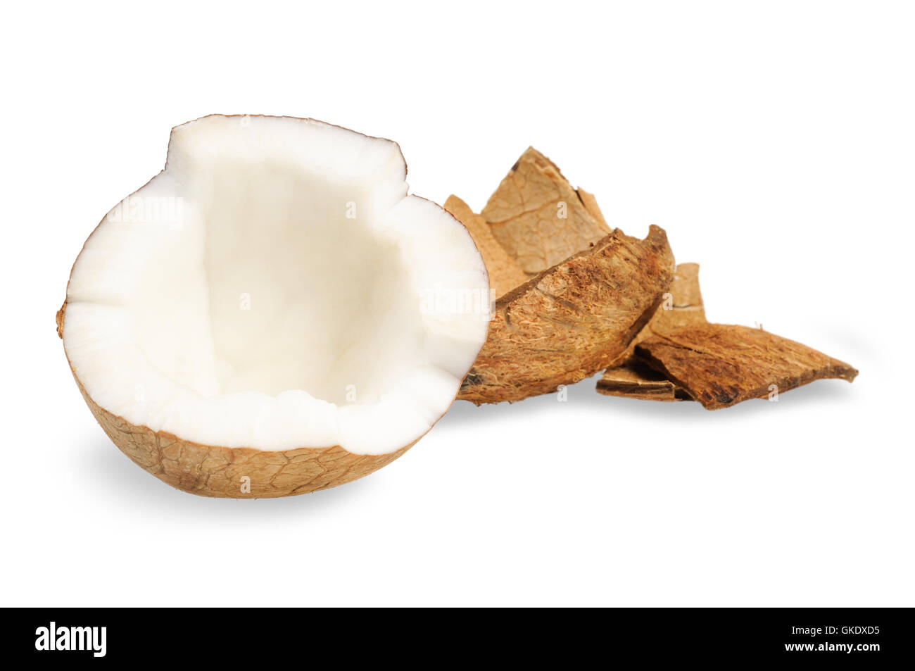 Soft Shell Coconut Fresh coconut and coconut shells Stock Photo - Alamy