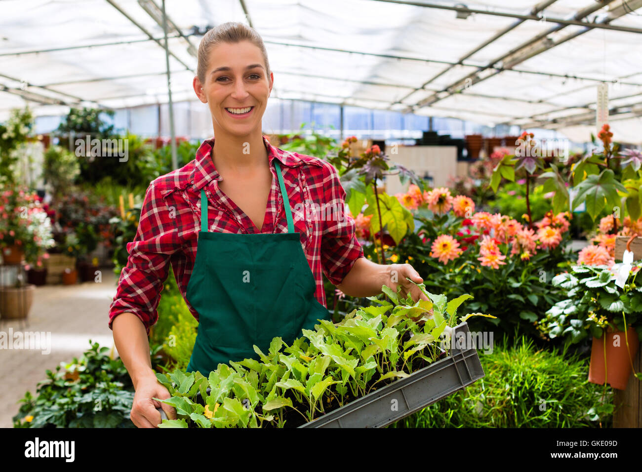 teacher in their nursery Stock Photo Alamy