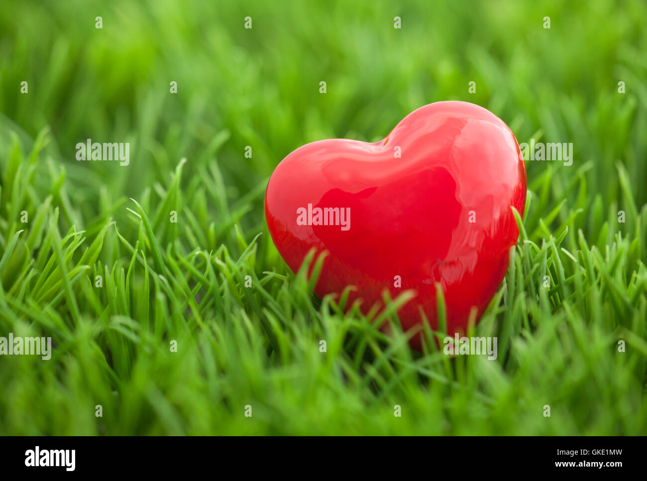 Small red heart on the grass Stock Photo