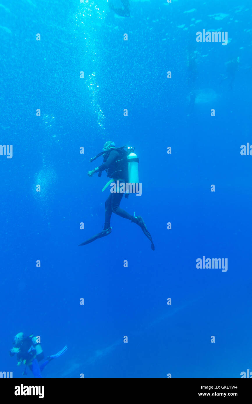 Silhouette of Young Man Scuba Diver between Water Surface and Sea Bottom Stock Photo