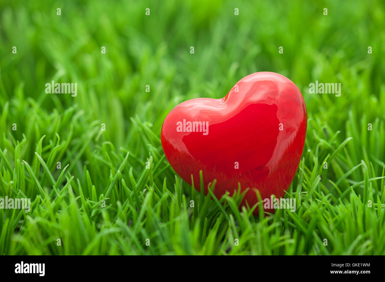 Small red heart on the grass Stock Photo