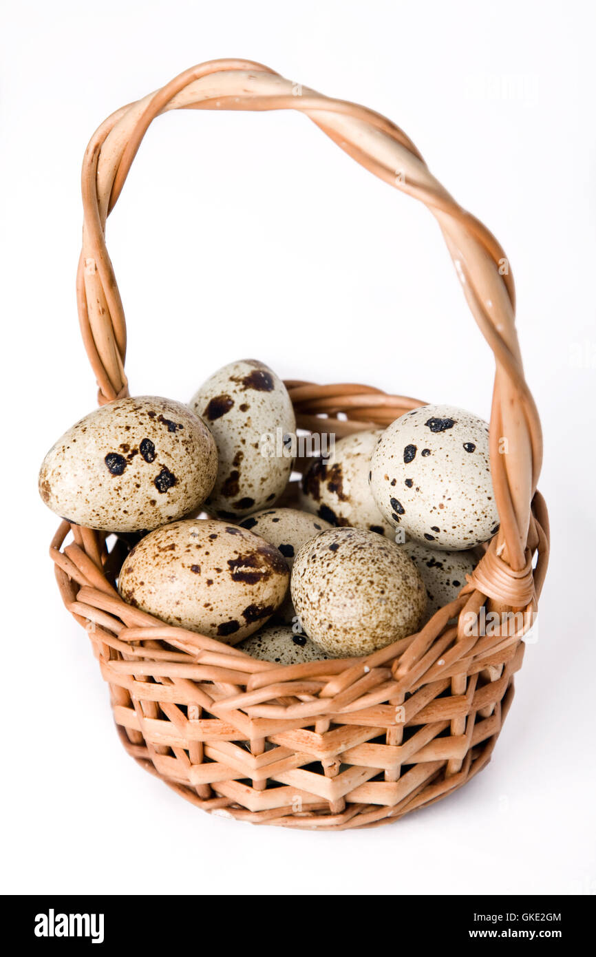 Quail eggs in basket Stock Photo Alamy
