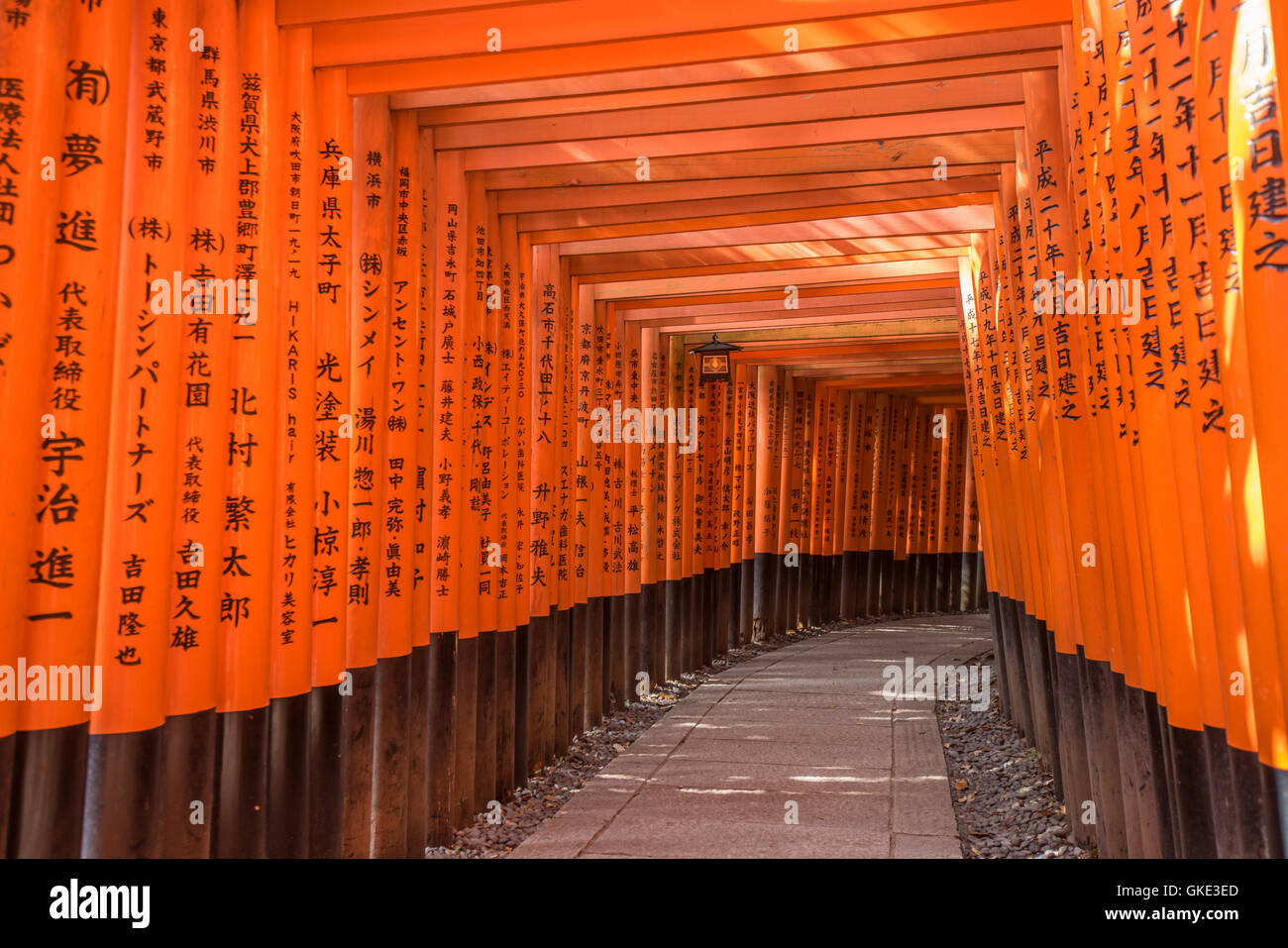 Page 3 Fushimi Inari Shrine Path Of Torii High Resolution Stock Photography And Images Alamy Page 3 Fushimi Inari Shrine Path Of Torii High Resolution Stock Photography And Images Alamy