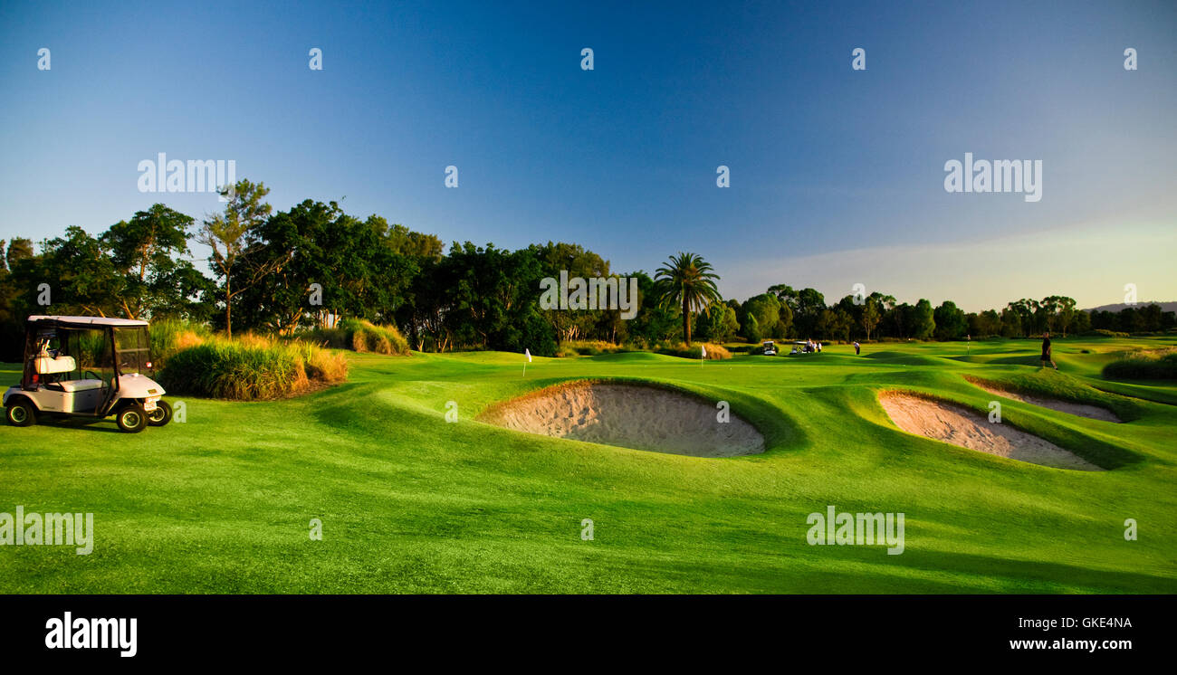 Golf Course and buggies Stock Photo Alamy