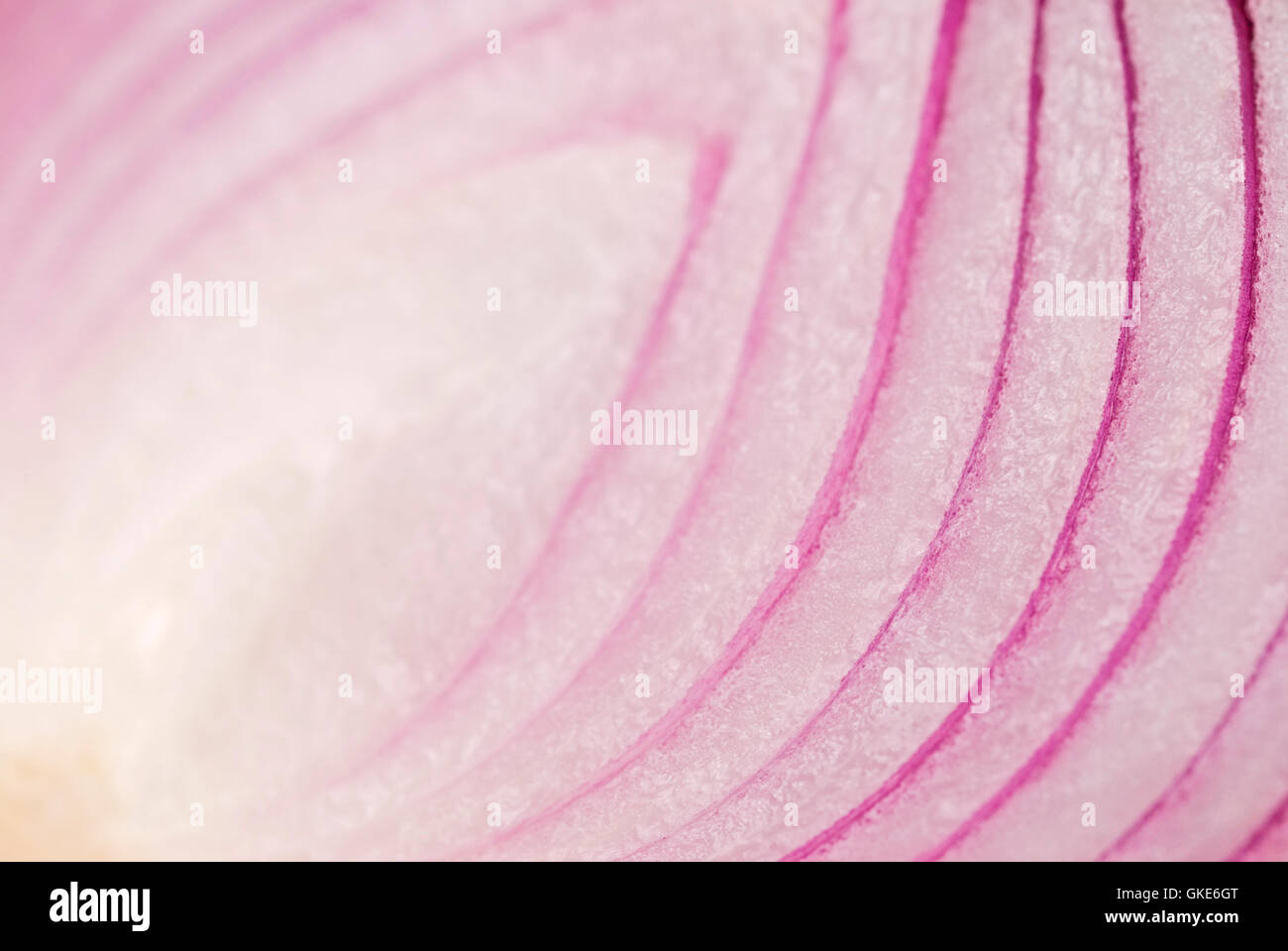 Onion skin detail hi-res stock photography and images - Alamy