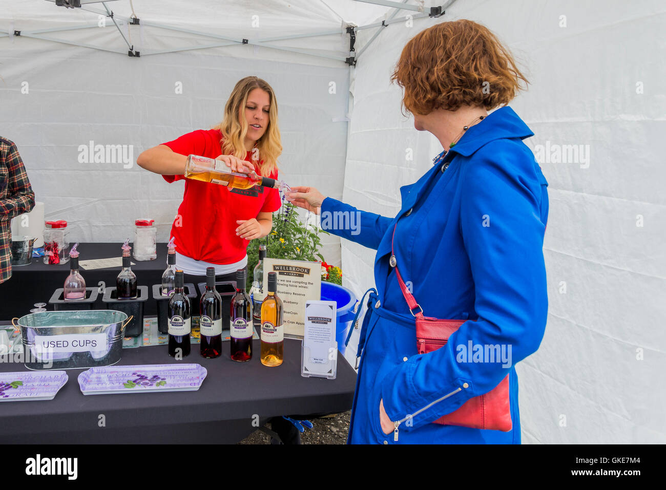 Wine tasting, Wellbrook Winery, Delta, British Columbia, Canada Stock