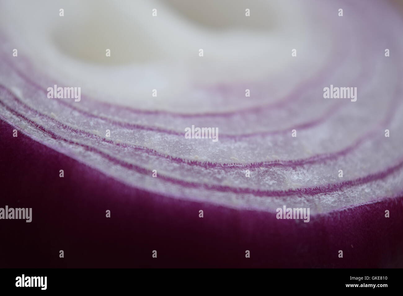 Knife cutting onion half rings hi-res stock photography and images - Alamy