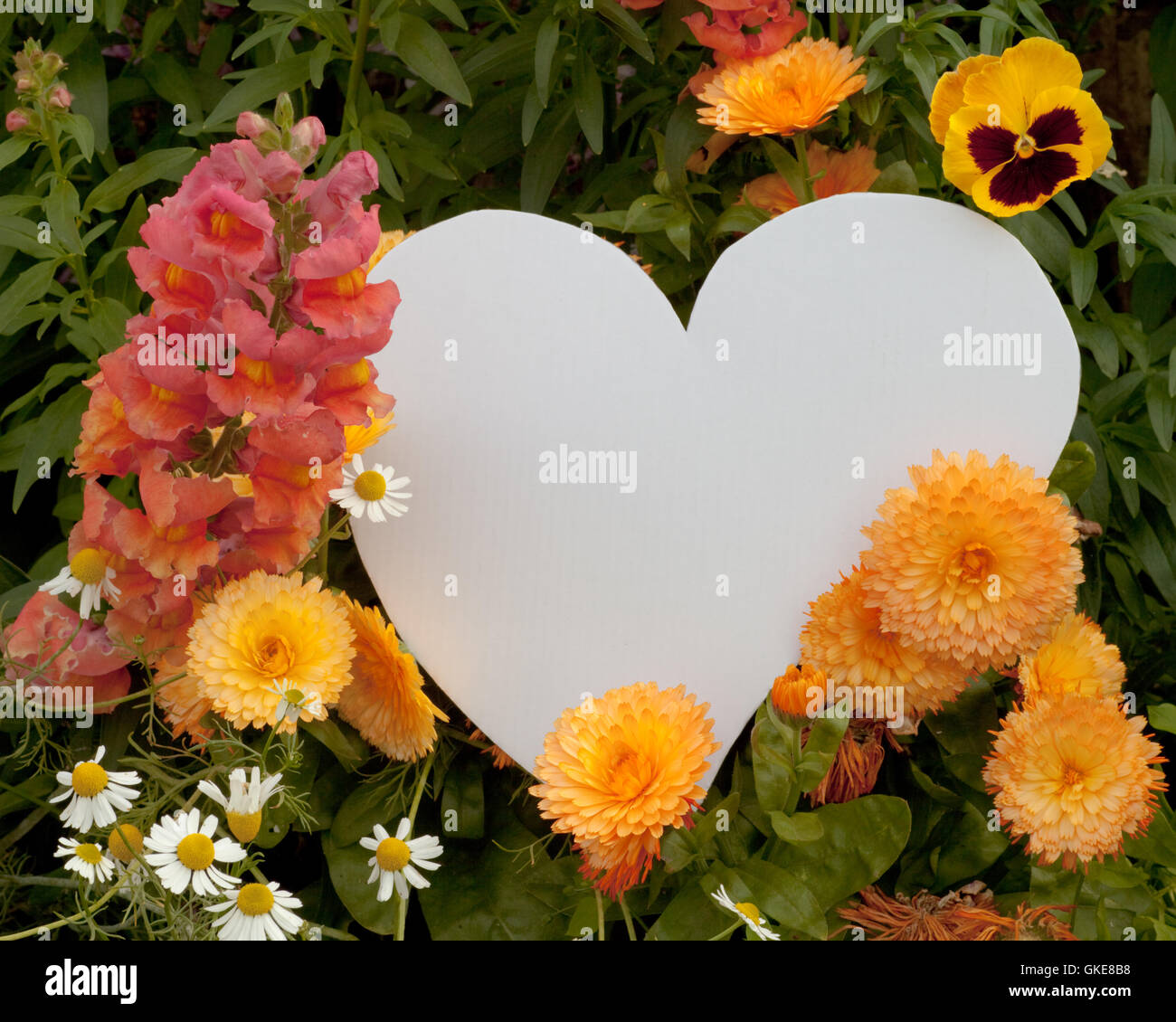 Flower greetings from heart Stock Photo