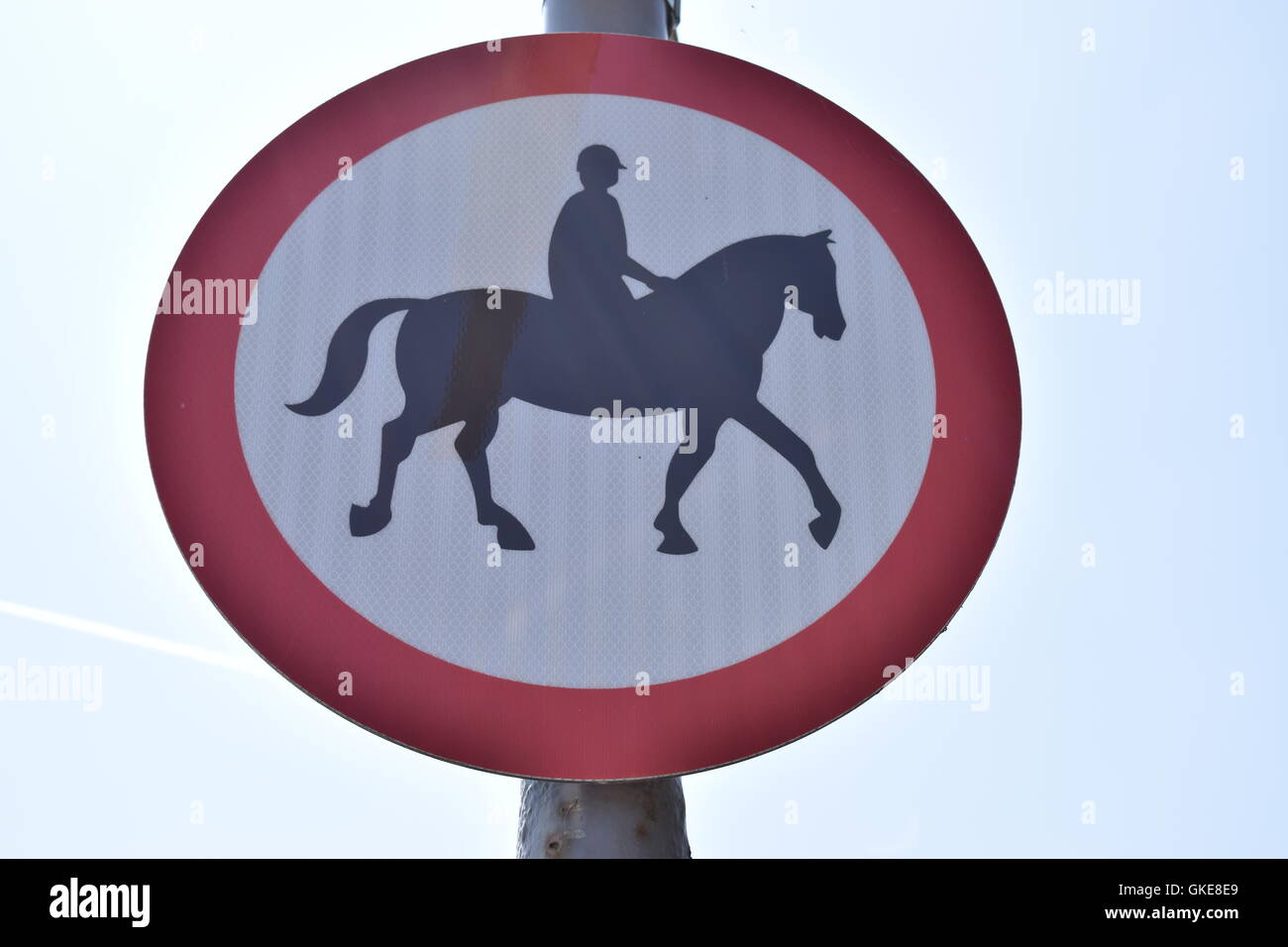 horses, warning sign Stock Photo Alamy