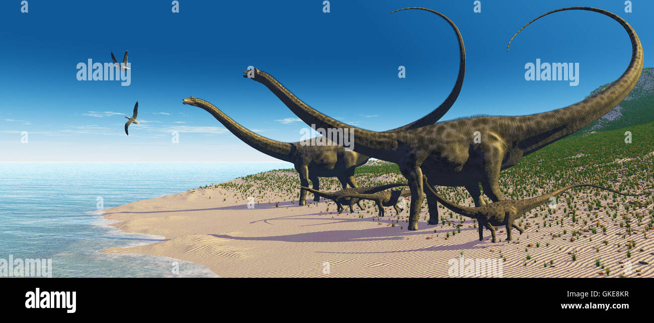 Diplodocus fossil hires stock photography and images Alamy