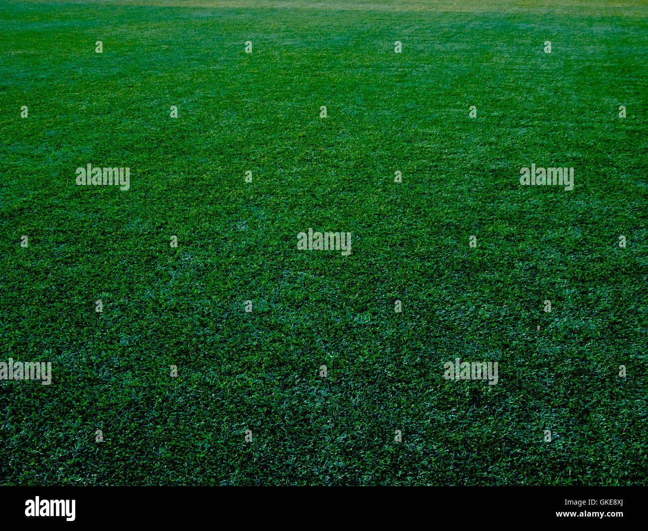 Line on astroturf Stock Photo Alamy