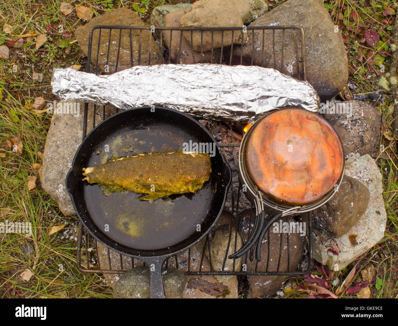 Cooking Fish Dinner On Campfire Stock Photo Alamy cooking-fish-dinner-on-campfire-stock-photo-alamy