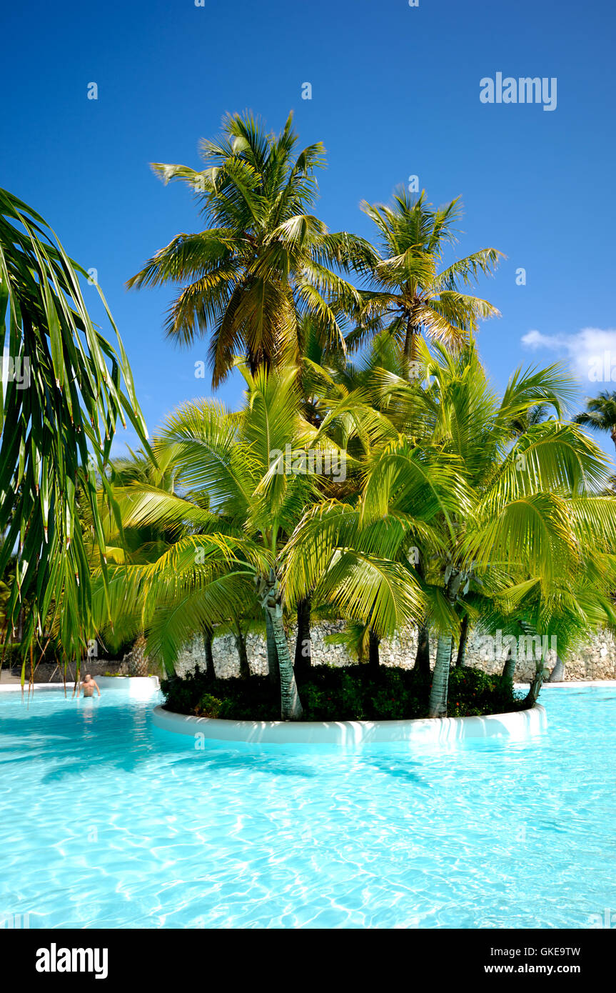 Palms and swimming pool Stock Photo Alamy