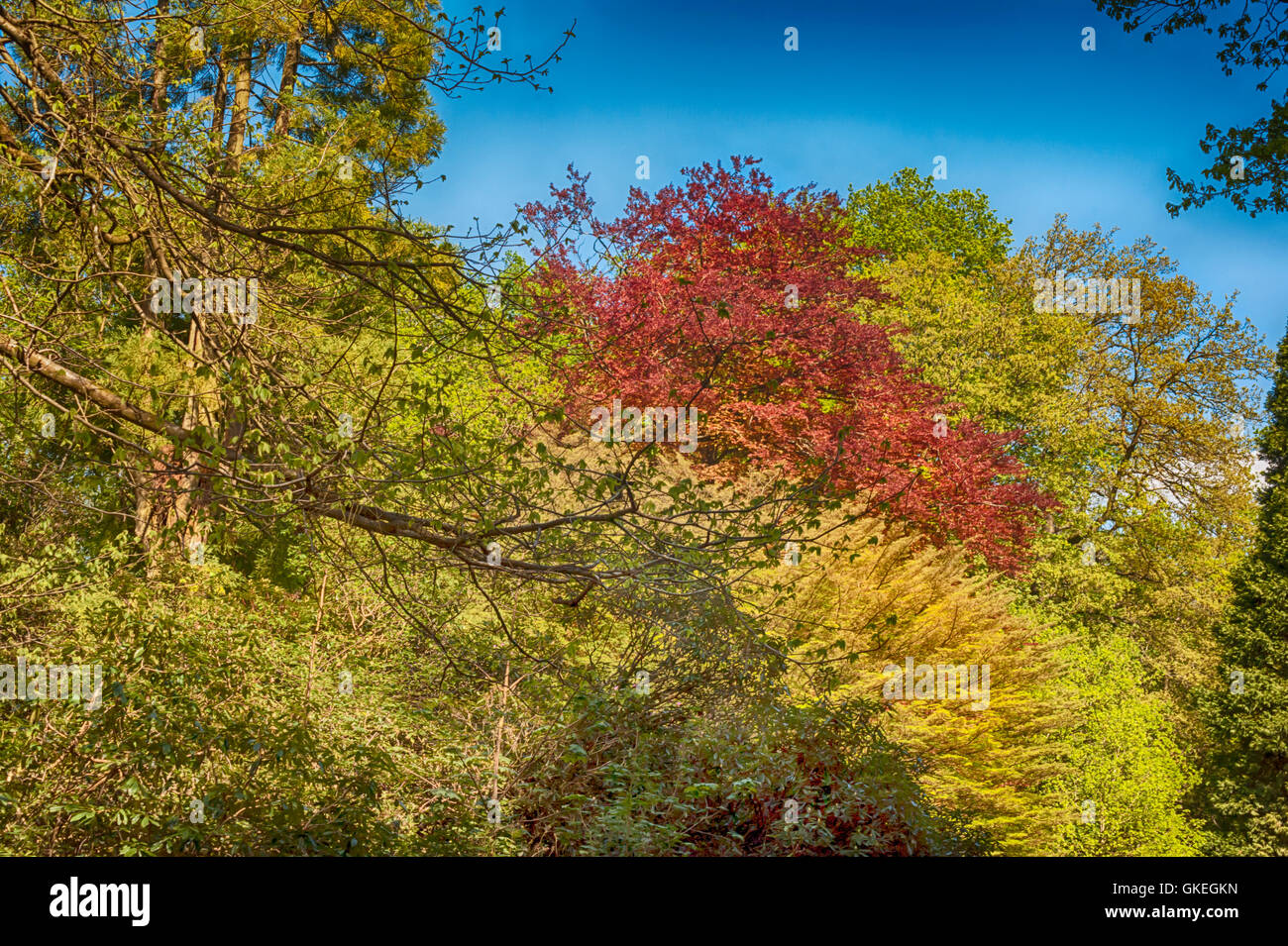 Countryside Warminster Stock Photo Alamy