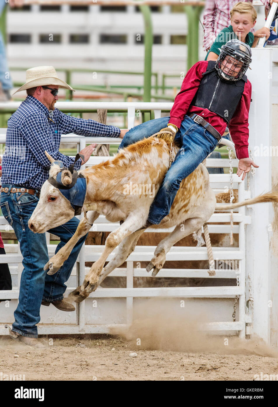 Young cowboy riding a small bull in the Junior Steer Riding competition