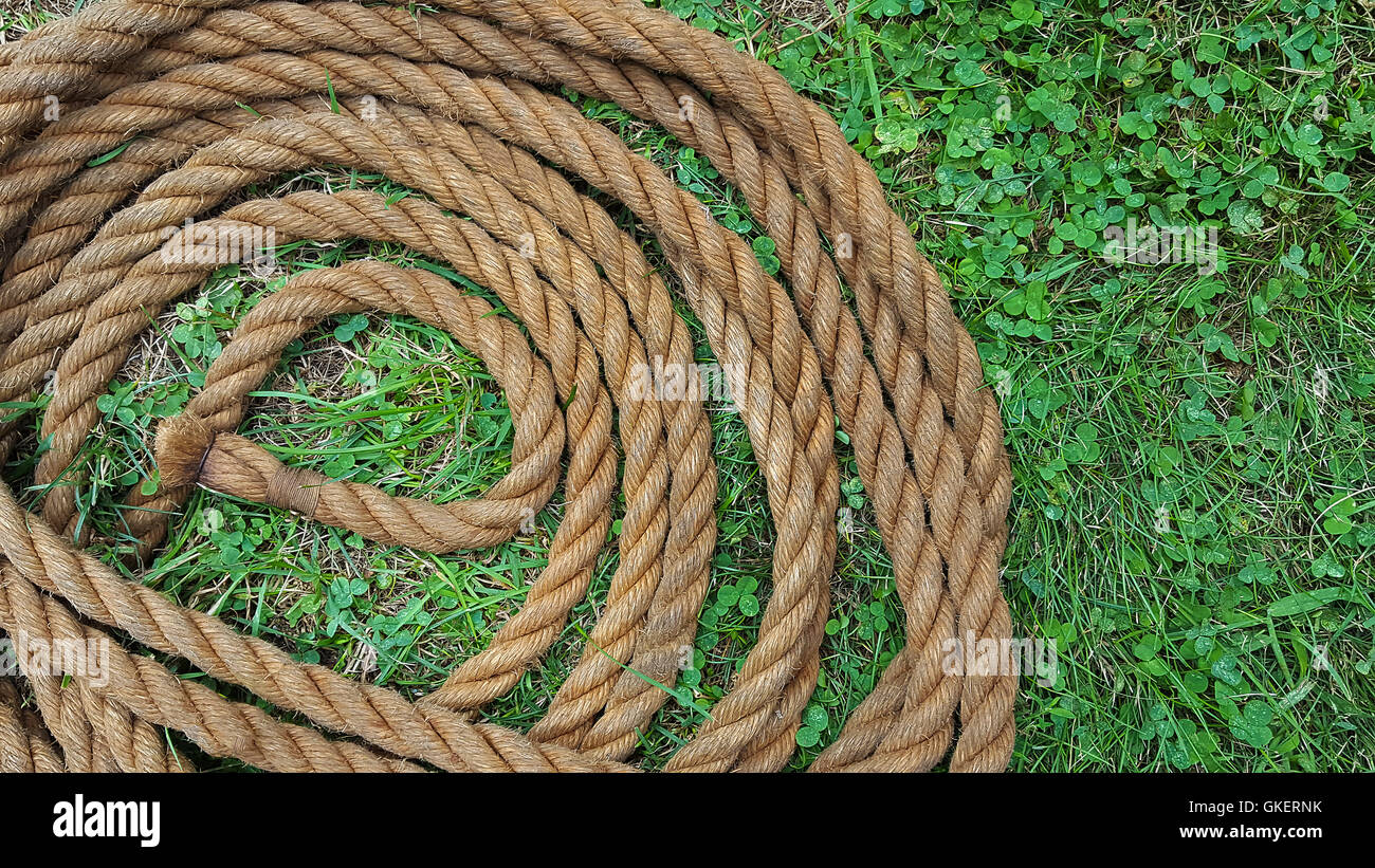 Coiled brown rope in grass and clover. Stock Photo