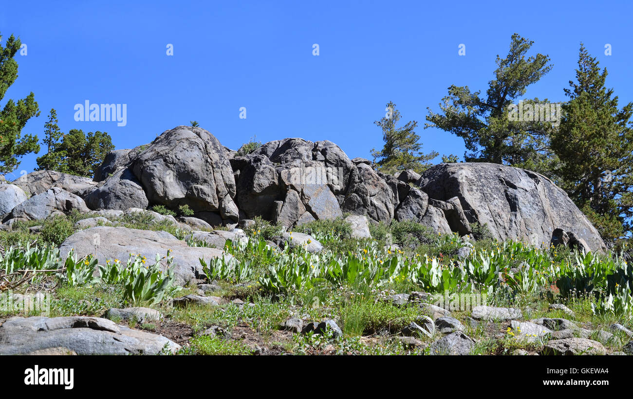 Sierra Nevada granitic rock formations at Mokelumne Wilderness in the summer. Stock Photo