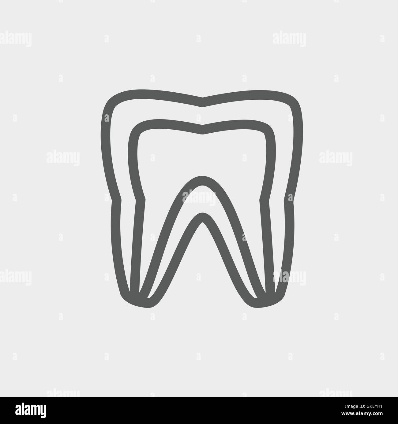 Molar tooth thin line icon Stock Vector