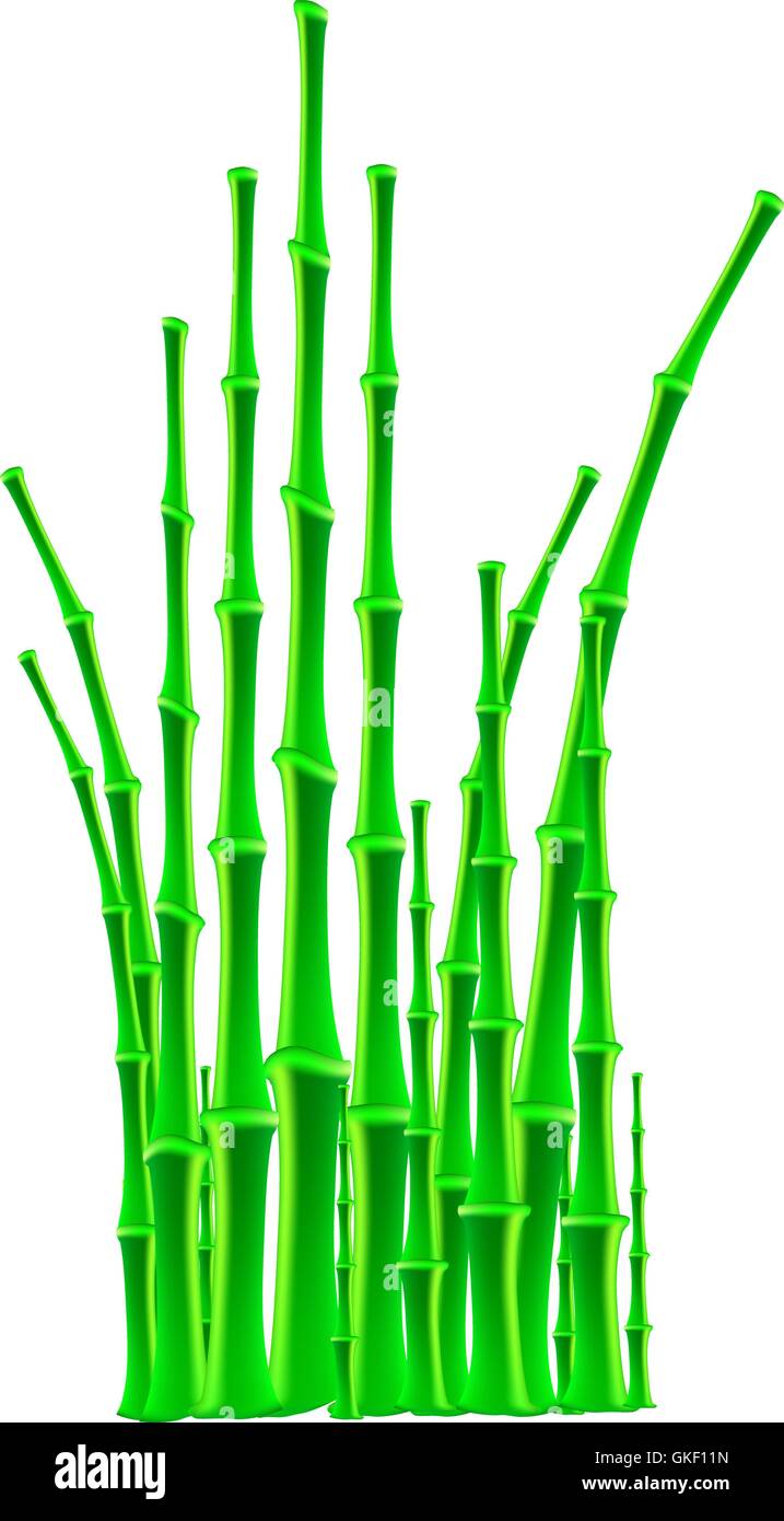 bamboo sticks over white background Stock Vector Image & Art Alamy
