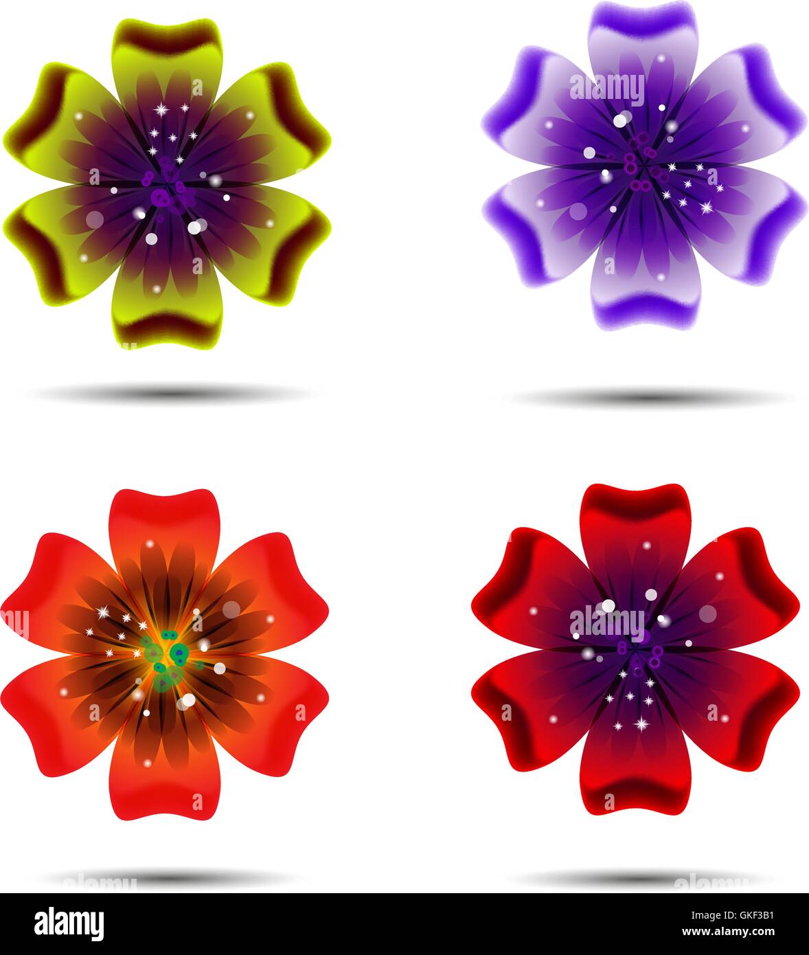 set Brochure design, abstract background beautiful colored flower pattern. Stock Vector