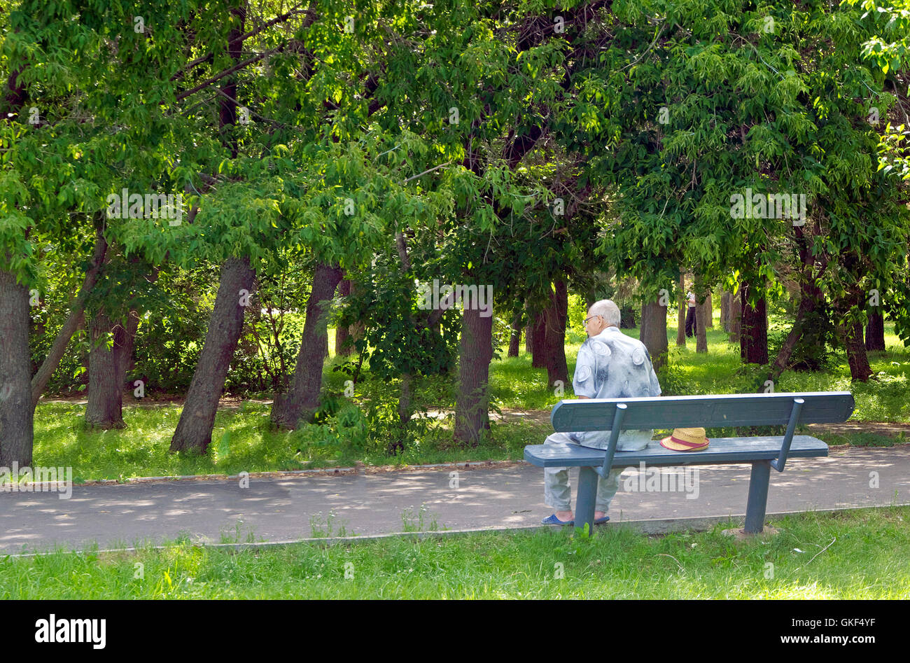 Senior gentleman sitting on the bench in park Stock Photo - Alamy