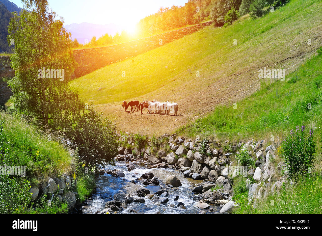 a picturesque mountain valley, the river and the sunrise Stock Photo ...