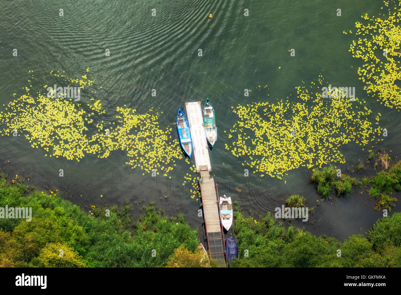 Aerial view, small boat dock with water plants and rowboats, Waren (Müritz), Mecklenburg Lake District, Stock Photo