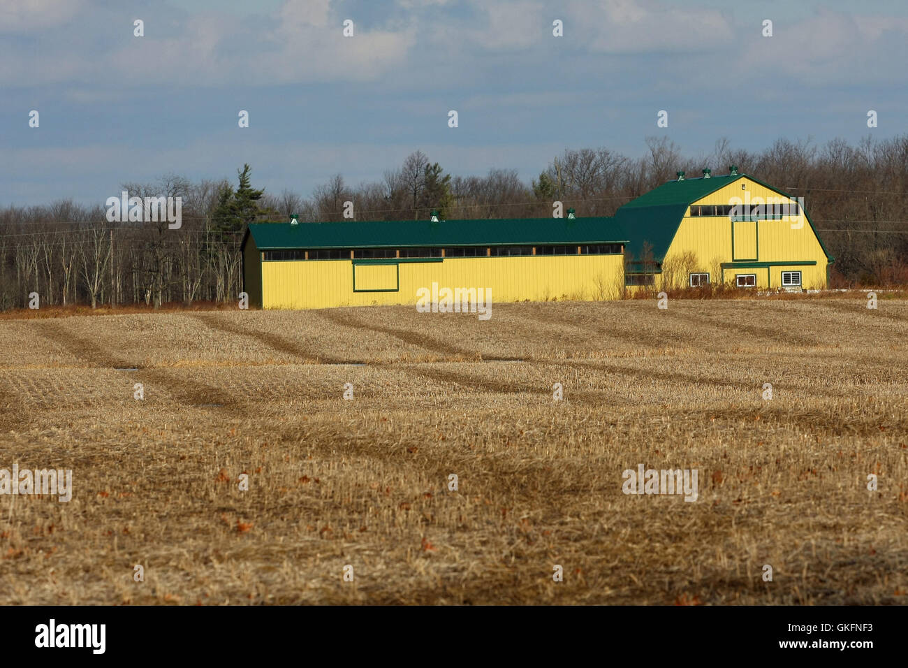 Big Yellow Barn Stock Photo 115286839 Alamy
