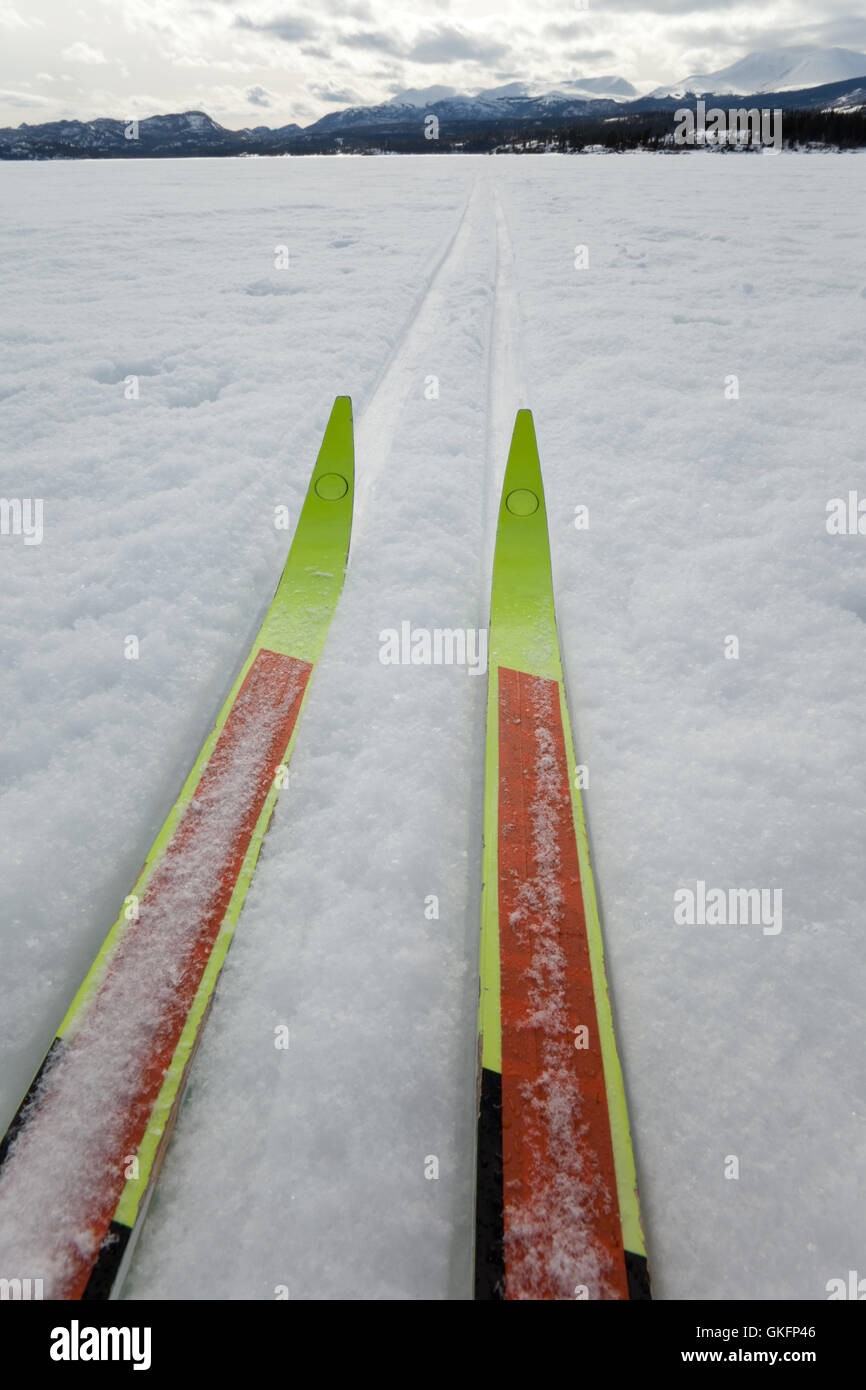 Xcountry ski winter sport Stock Photo Alamy