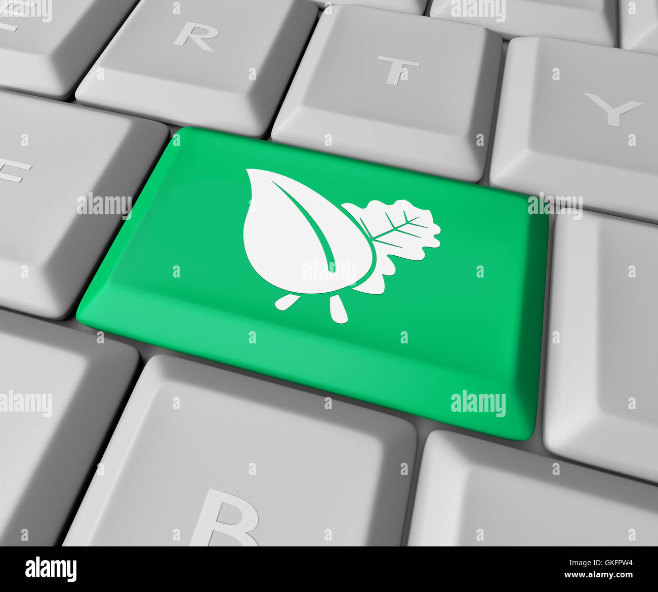 Computer Keyboard Leaf Icon On High Resolution Stock Photography And Images Alamy