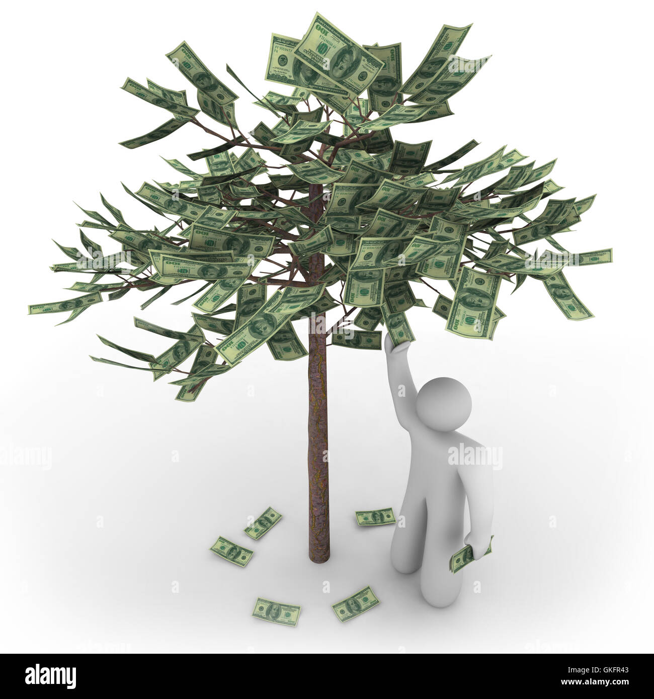 Money Does Grow on Trees Stock Photo Alamy