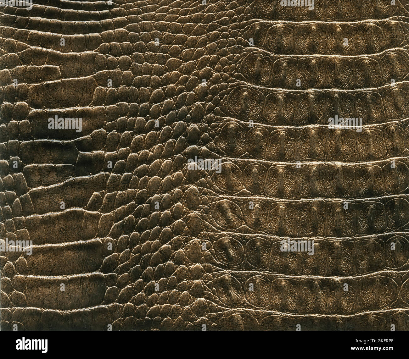 Rubber Skin Color Texture texture of skin Stock Photo - Alamy