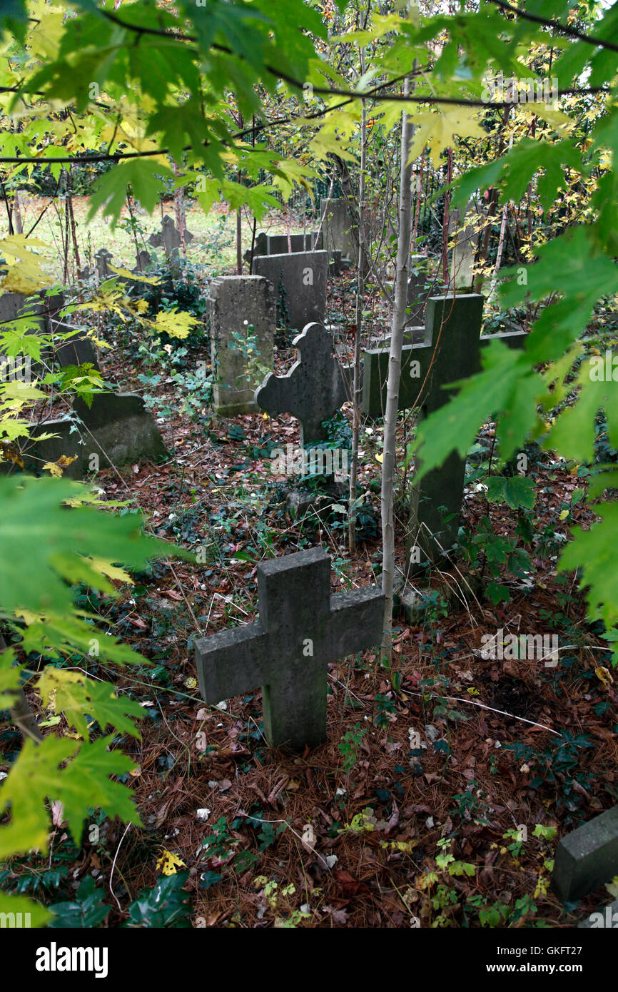 old tombstones in early autumn Stock Photo