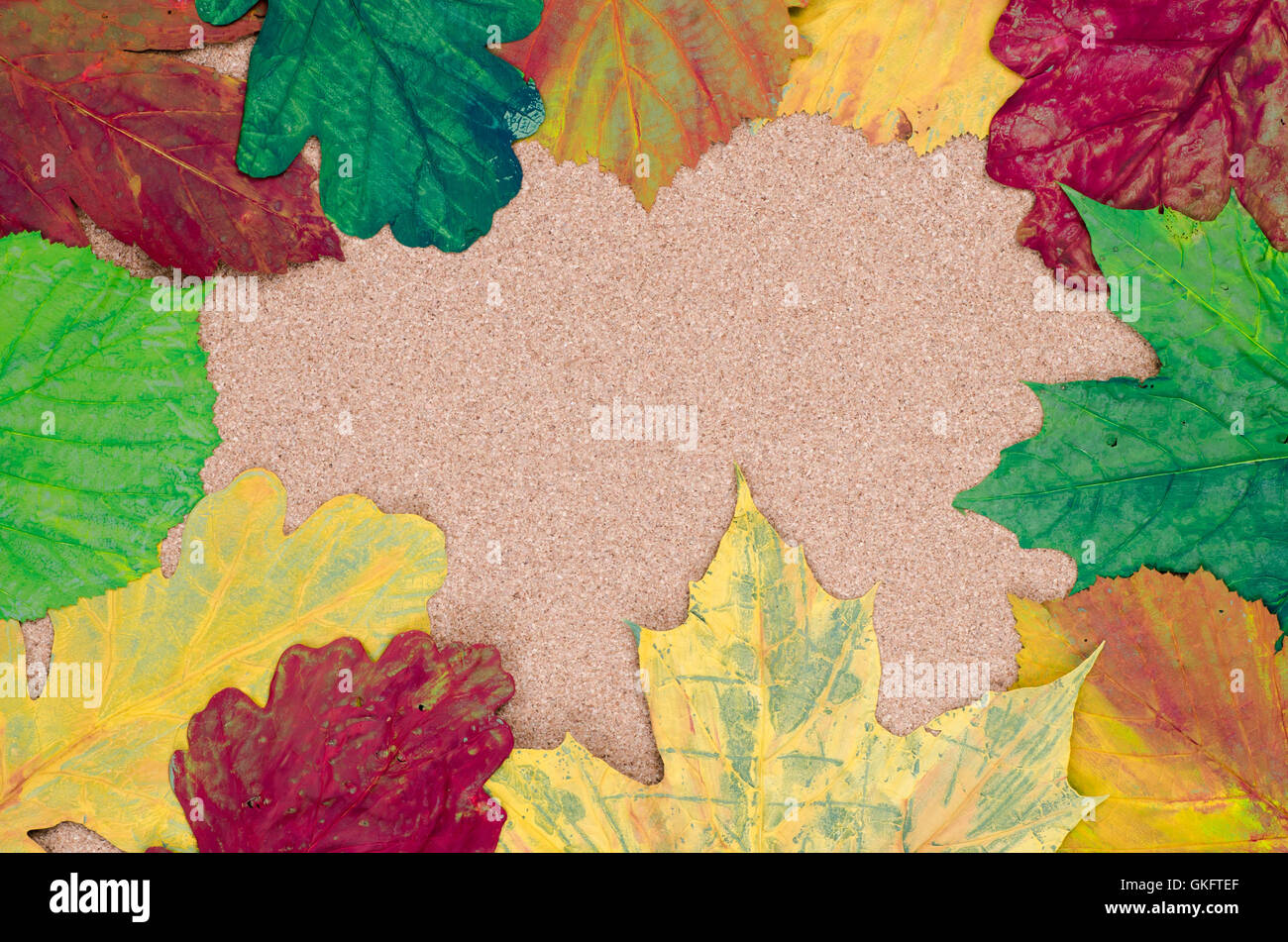 multicolored painted fall leaves composition Stock Photo
