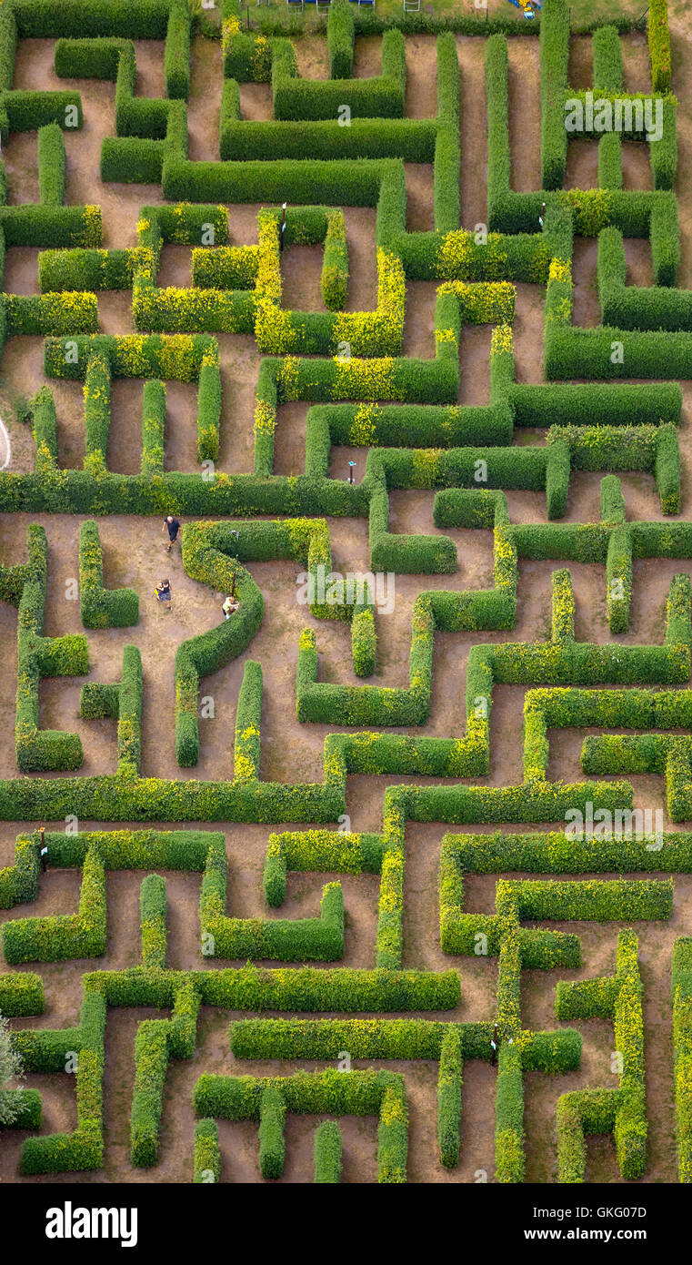 Aerial view, hedge maze, labyrinth, maze Bollewick, Bollewick, Mecklenburg Lakelands, Mecklenburgian Switzerland, Stock Photo