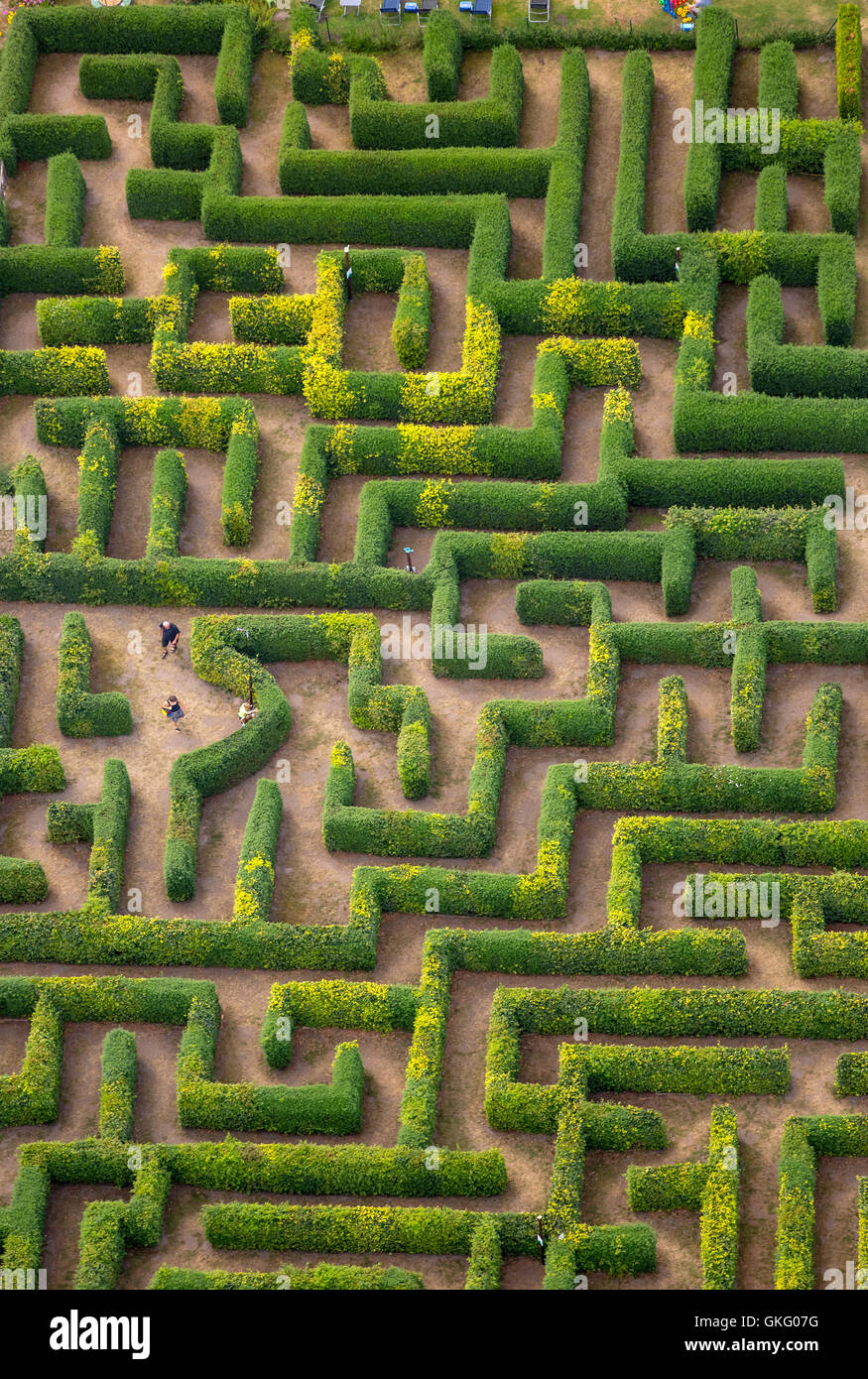 Aerial view, hedge maze, labyrinth, maze Bollewick, Bollewick, Mecklenburg Lakelands, Mecklenburgian Switzerland, Stock Photo