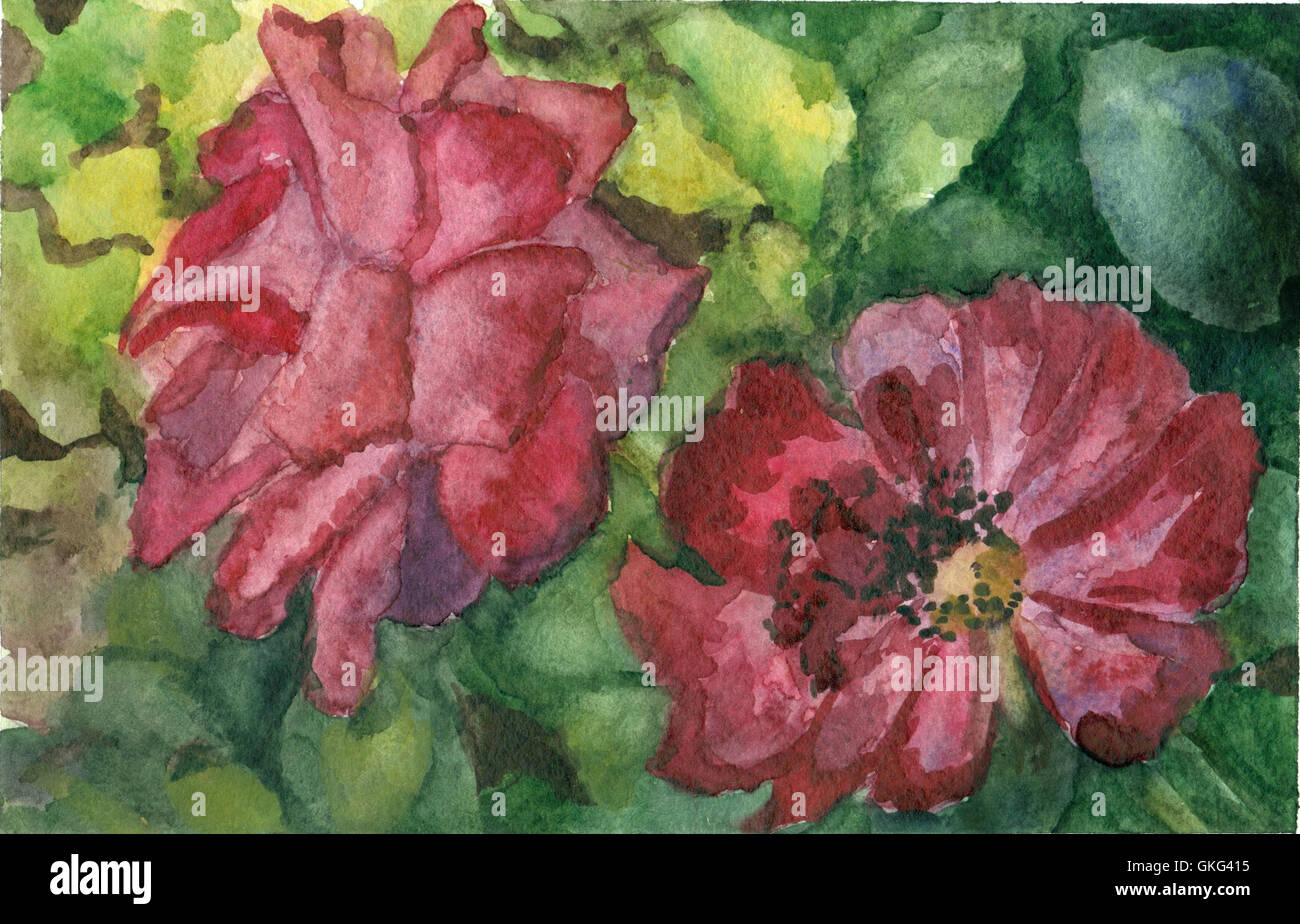 Watercolor hand drawn two roses on green leaves background Stock Photo ...