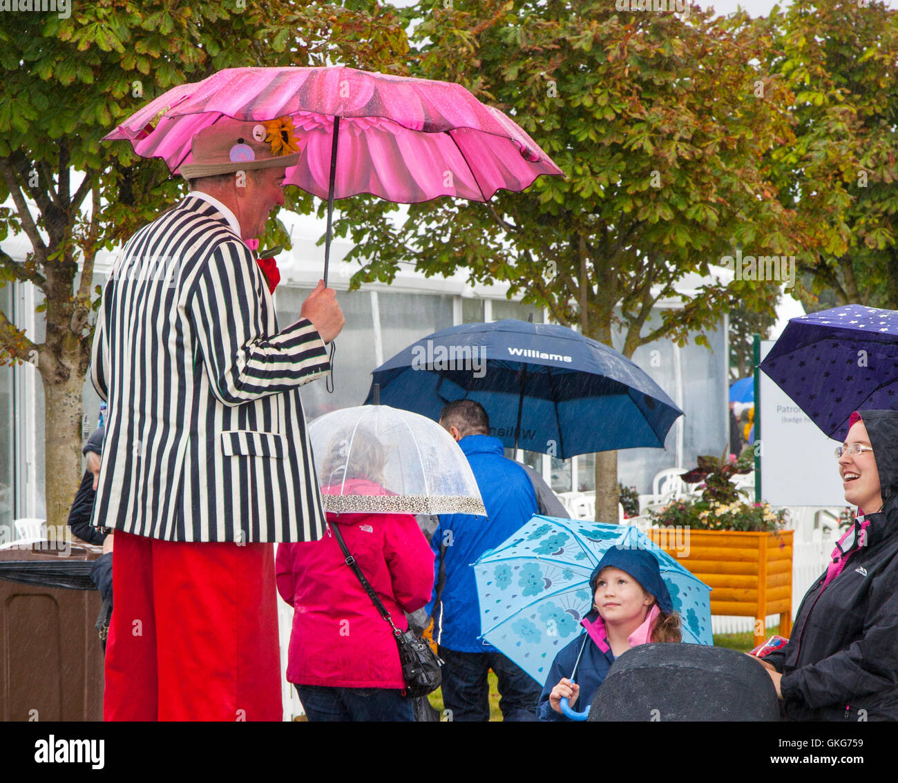 Southport Flower Show, Merseyside, UK. 17th Aug 2016:  Stiltwalker and children's clown Professor Crump entertains the children at the largest independent flower show in England, which is expecting thousands of visitors over the four day event.  Credit:  MediaWorld Images/Alamy Live News Stock Photo