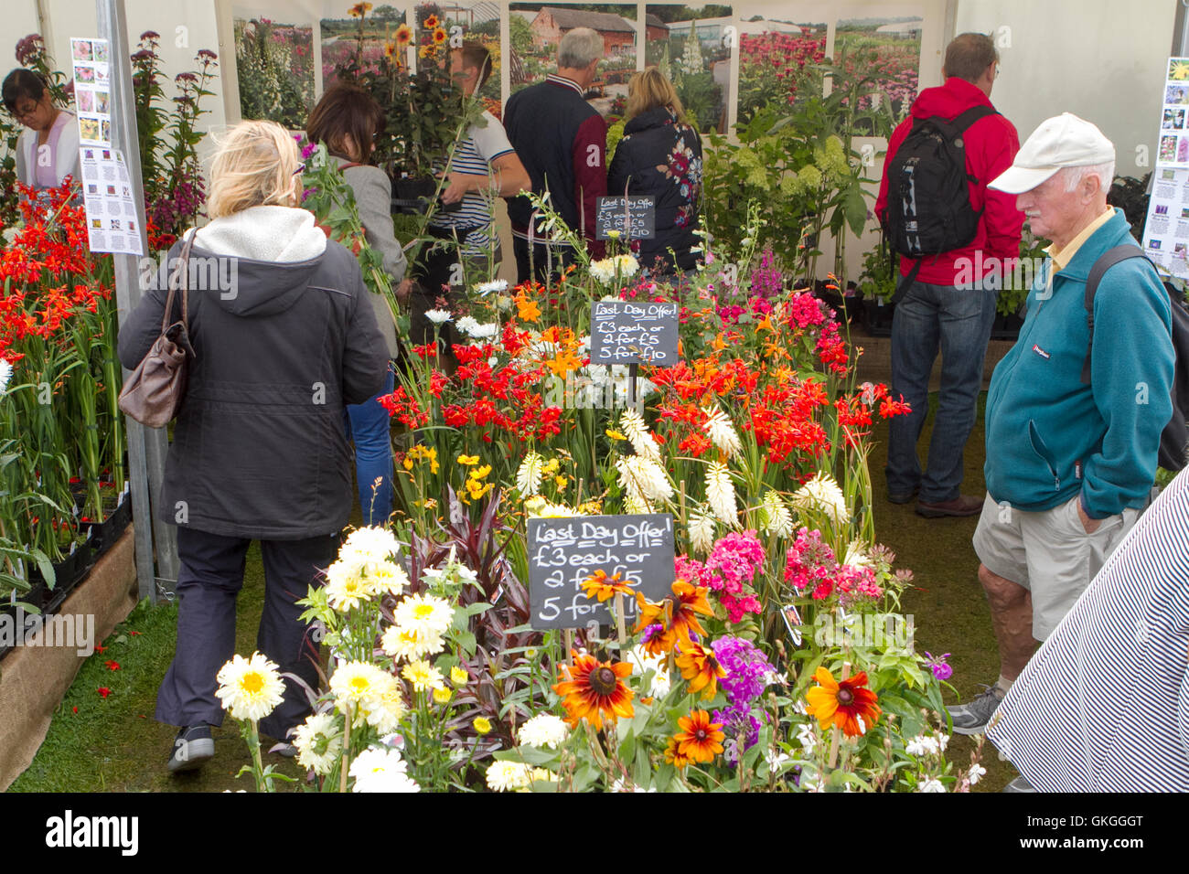 Savvy Shoppers, Southport, Merseyside, UK. 21st Aug 2016:  As the good weather returns over the The Southport Flower Show, the crowds flock in for today's big sell off.  The fabulous four day horticultural event comes to a close late this afternoon with bargains galore up for grabs, as crowds inside the marquee look at flower exhibits.  From craft goods and clothing to the most exotic plants, there really is something for everyone.   Credit:  Cernan Elias/Alamy Live News Stock Photo