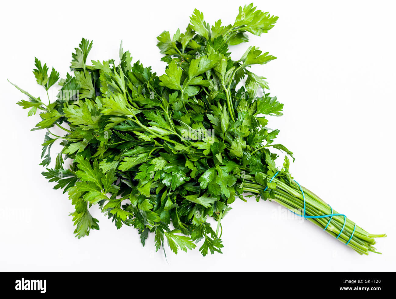 bunch of fresh green parsley herb on white background Stock Photo - Alamy