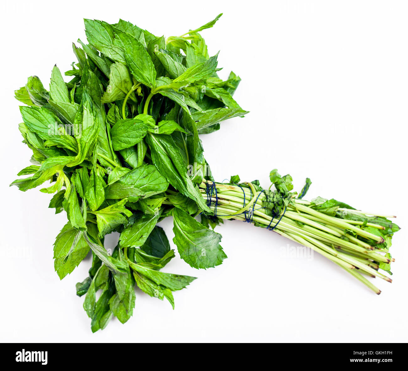 bunch of fresh cut green mint herb on white background Stock Photo Alamy