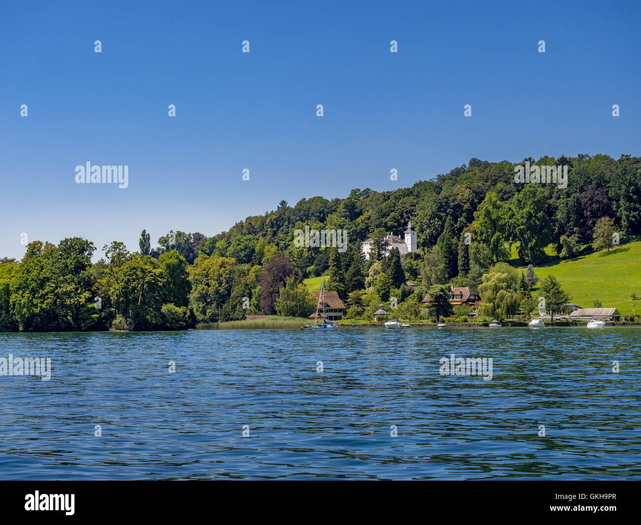 Shore landscape on Lake Lucerne, Switzerland, Europe Stock Photo - Alamy