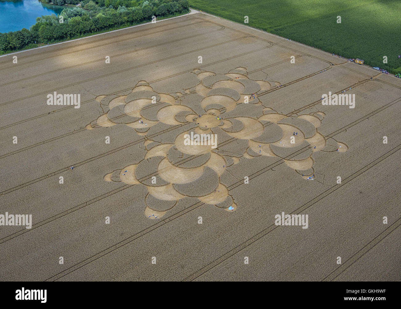 Crop Circle in cornfield near Mammendorf, Bavaria, Germany Stock Photo